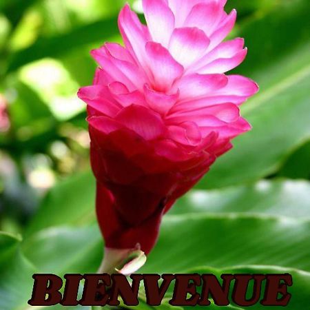 Alpinia Leilighet Sainte-Anne Eksteriør bilde